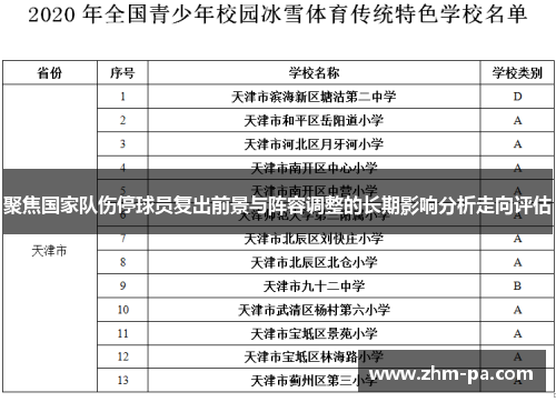 聚焦国家队伤停球员复出前景与阵容调整的长期影响分析走向评估