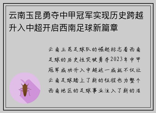 云南玉昆勇夺中甲冠军实现历史跨越升入中超开启西南足球新篇章